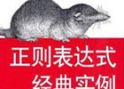 PHP正则验证类(PHP5)