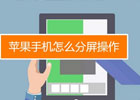 苹果手机怎么分屏？多种方法教你轻松实现！