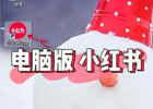 小红书有电脑版吗？（小红书电脑使用教程）