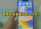 iOS开启开发者模式,如何开启iOS开发者模式