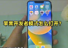 iPhone开发者模式,启用隐藏功能